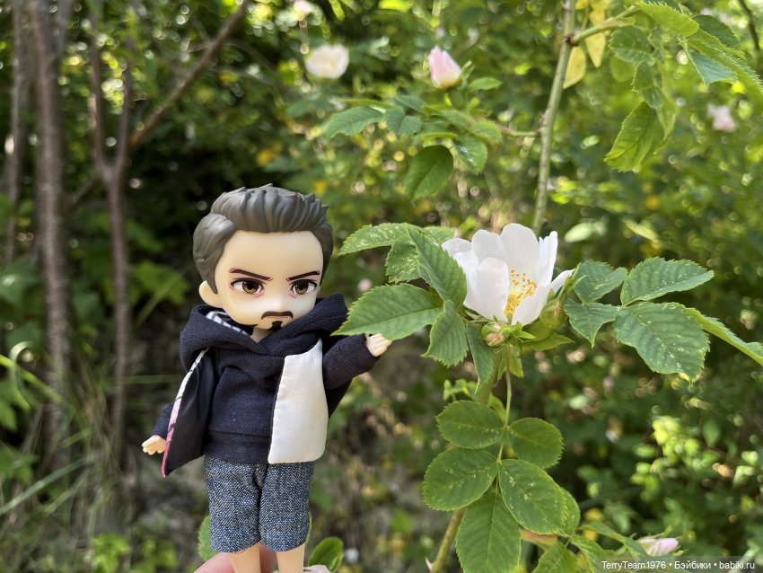 Удивительные путешествия мистера Чиби