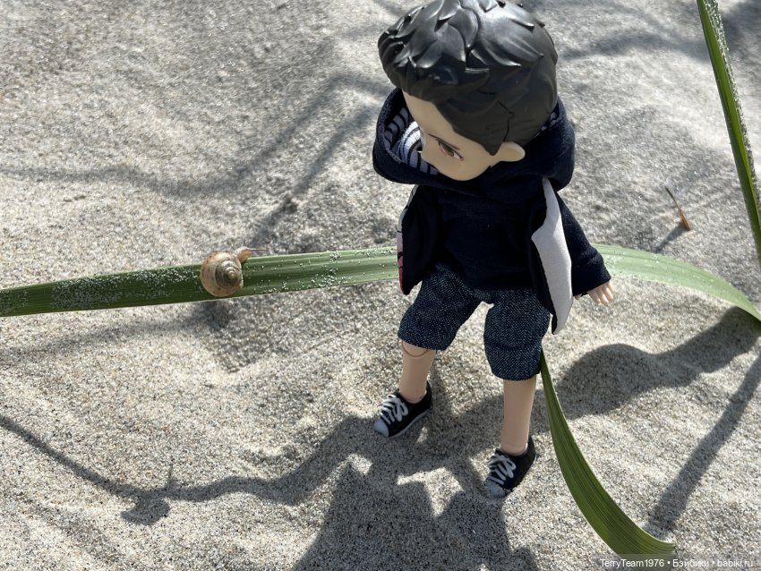 Удивительные путешествия мистера Чиби