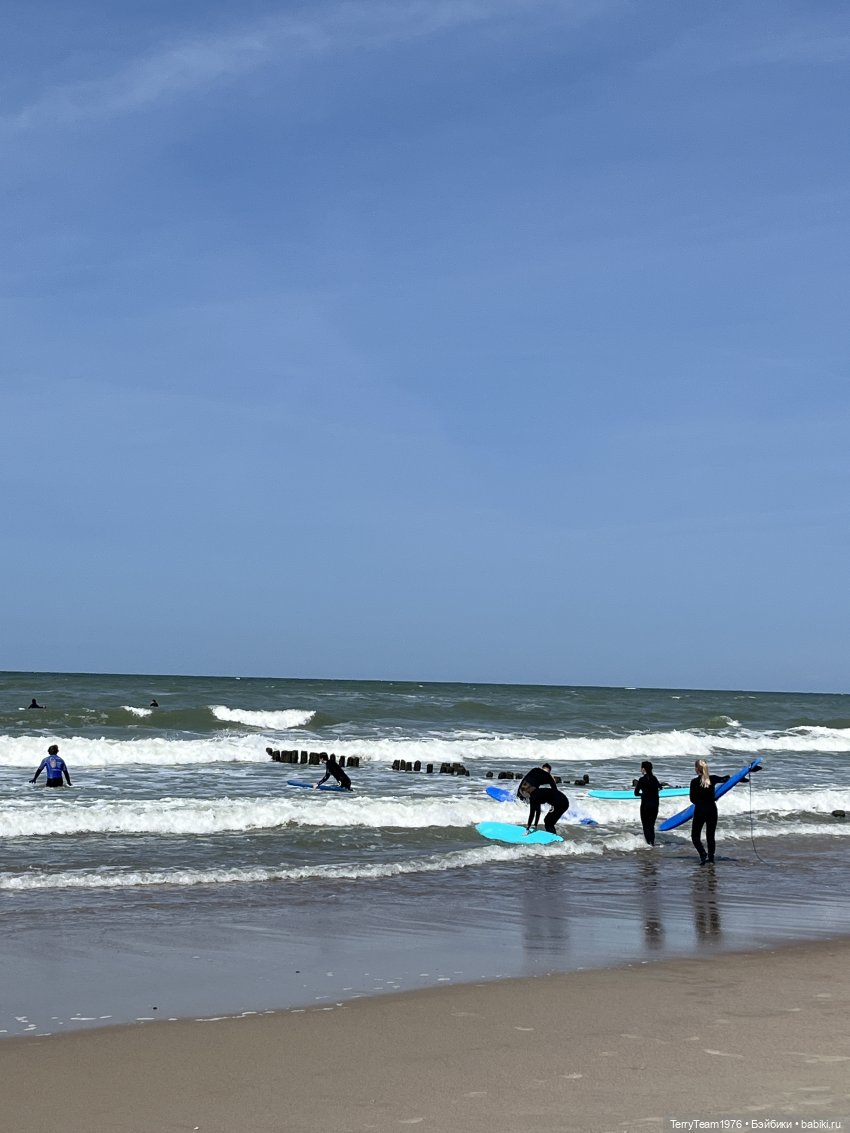 Удивительные путешествия мистера Чиби