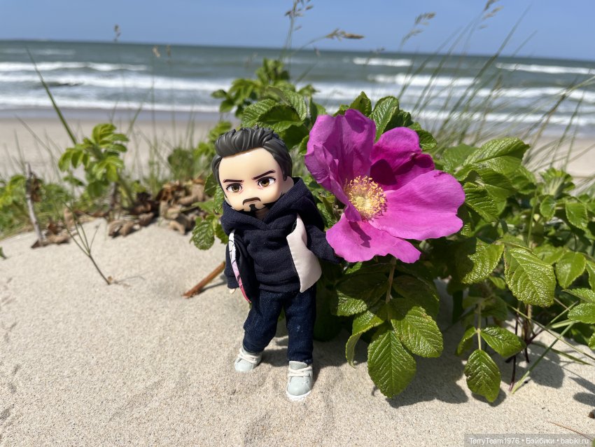 Удивительные путешествия мистера Чиби