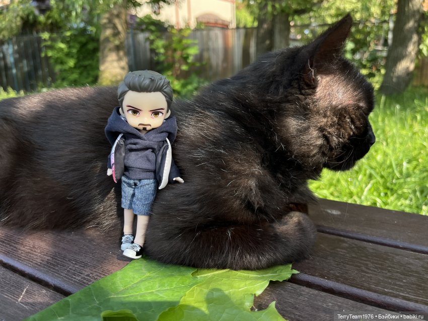 Удивительные путешествия мистера Чиби