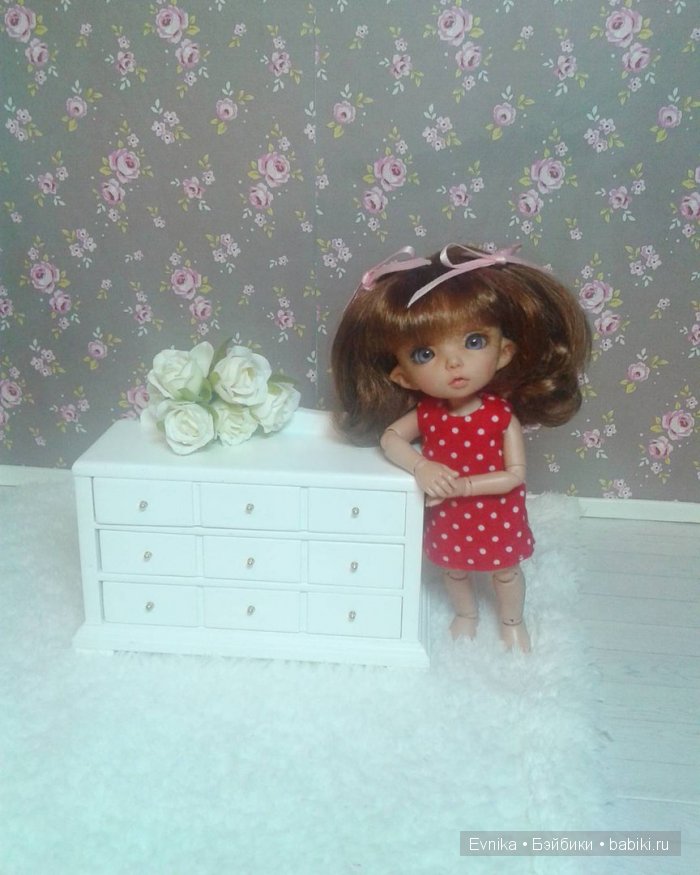 Новые фото моей пукишки по имени Дони