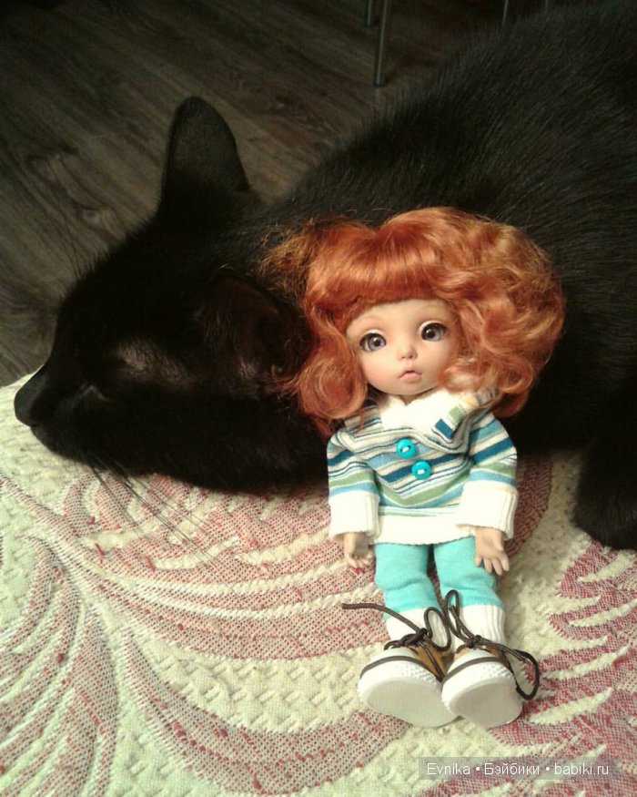 Новые фото моей пукишки по имени Дони (фото 7)