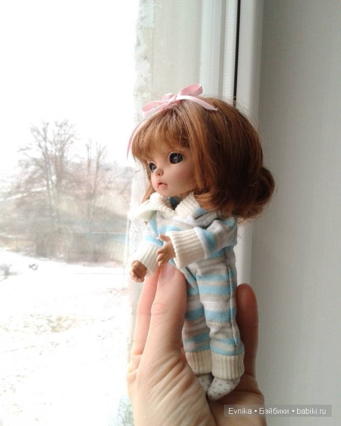 Новые фото моей пукишки по имени Дони