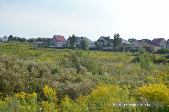 Моя первая коллективная фотосессия на природе