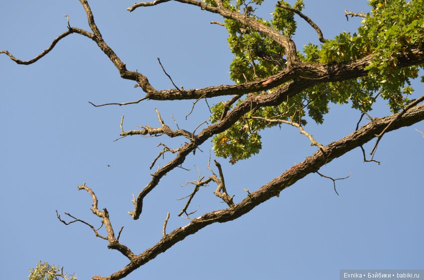 Осенняя прогулка Лины + немного городских зарисовок