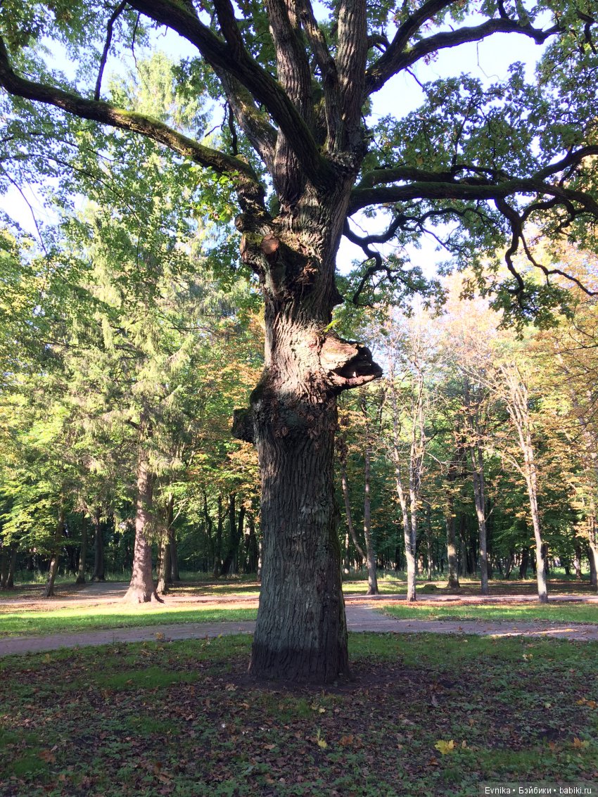 Осенняя прогулка Лины + немного городских зарисовок