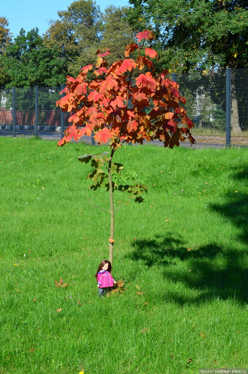 Осенняя прогулка Лины + немного городских зарисовок (фото 4)
