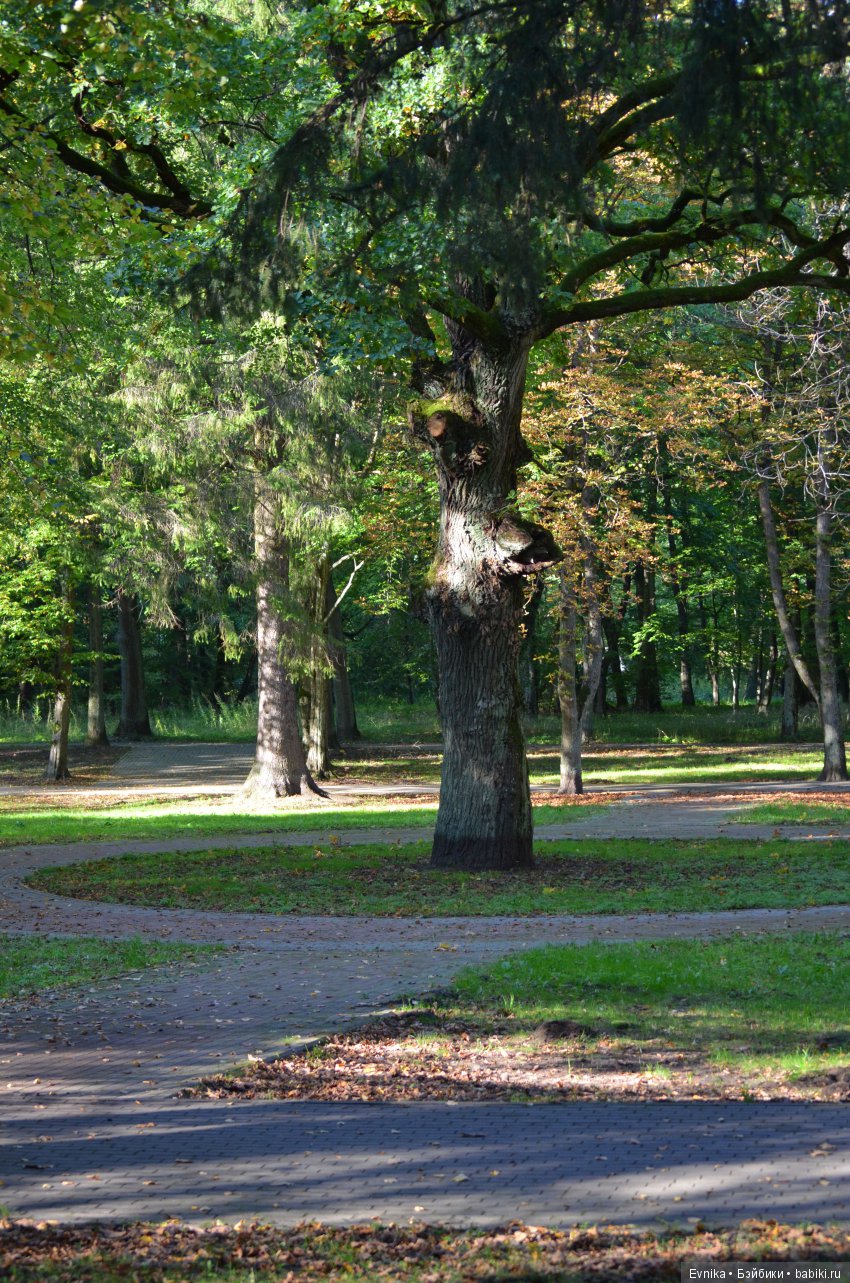 Осенняя прогулка Лины + немного городских зарисовок