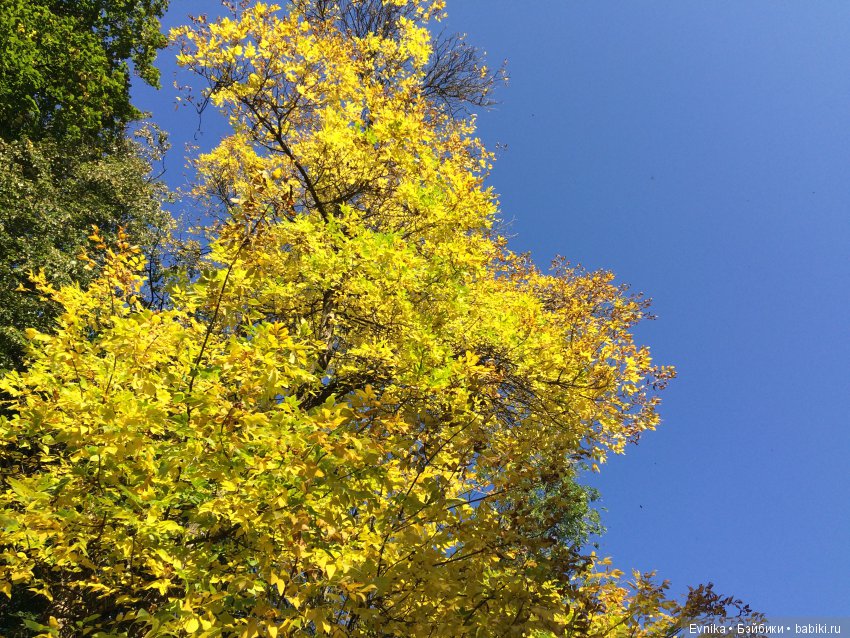 Осенняя прогулка Лины + немного городских зарисовок