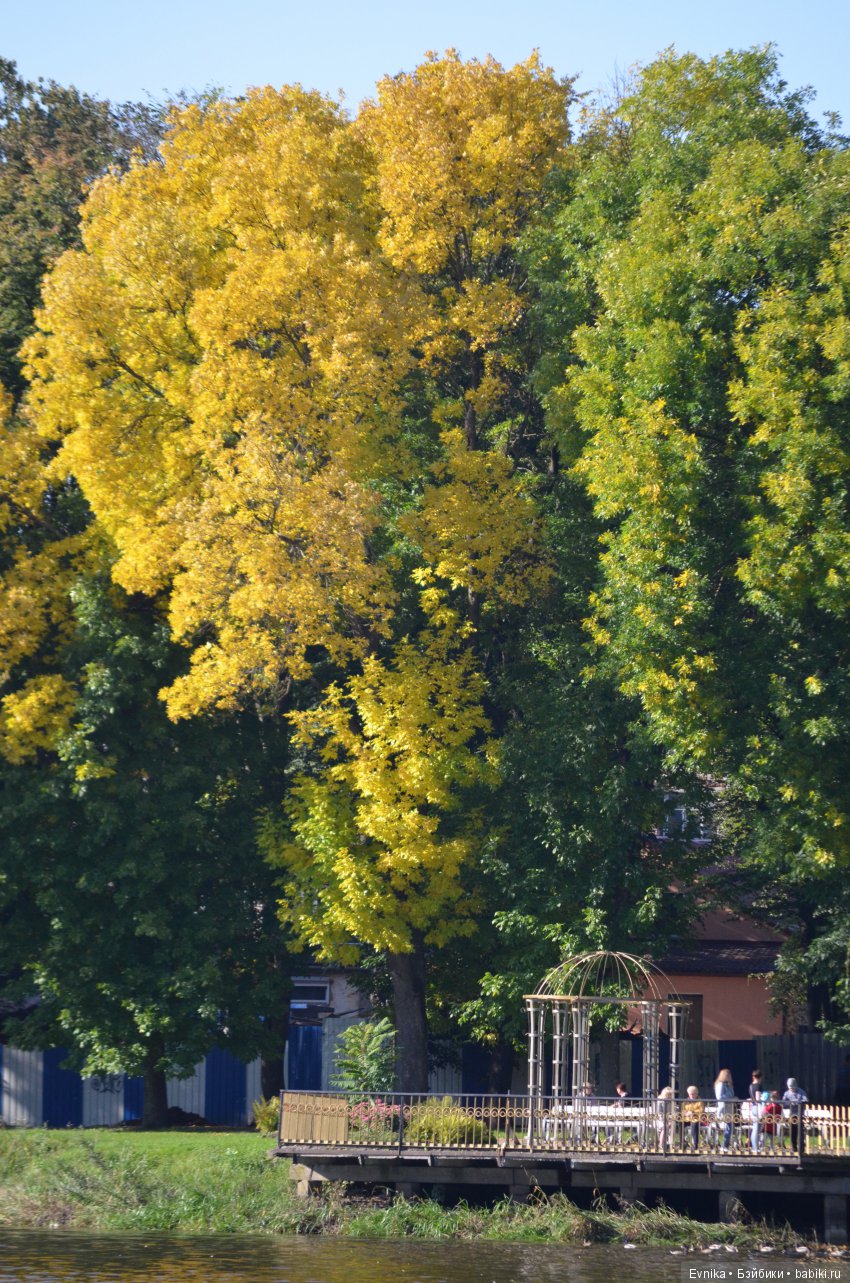 Осенняя прогулка Лины + немного городских зарисовок