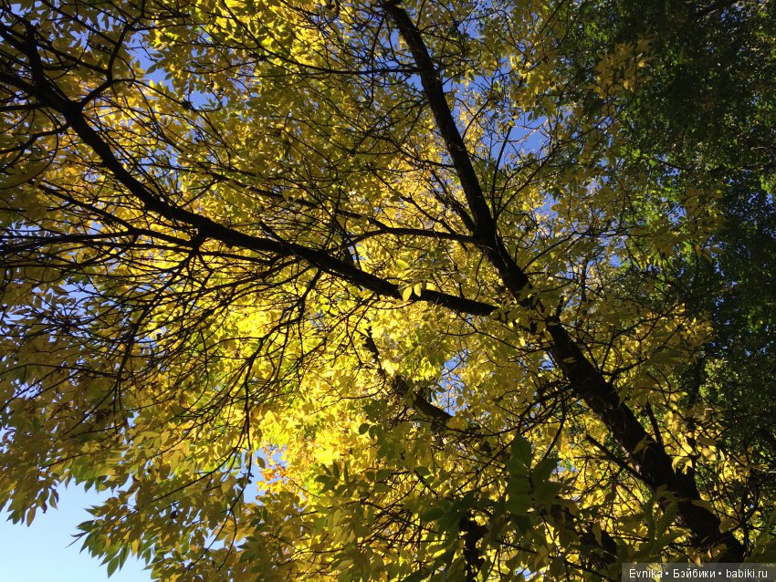 Осенняя прогулка Лины + немного городских зарисовок