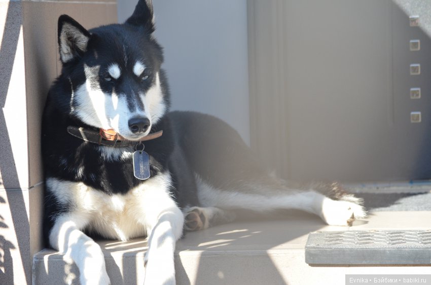 Осенняя прогулка Лины + немного городских зарисовок (фото 2)