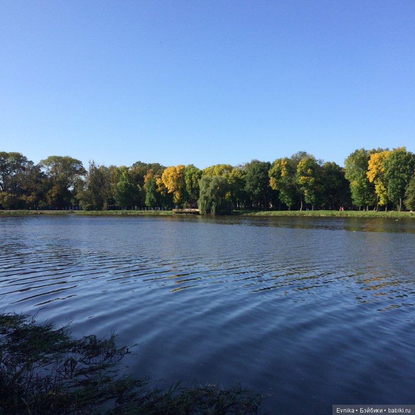 Осенняя прогулка Лины + немного городских зарисовок (фото 8)