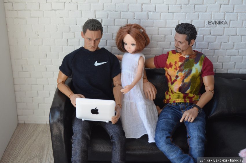 Новый житель в нашем доме