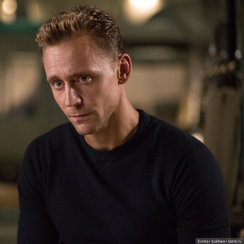 Новый житель в нашем доме