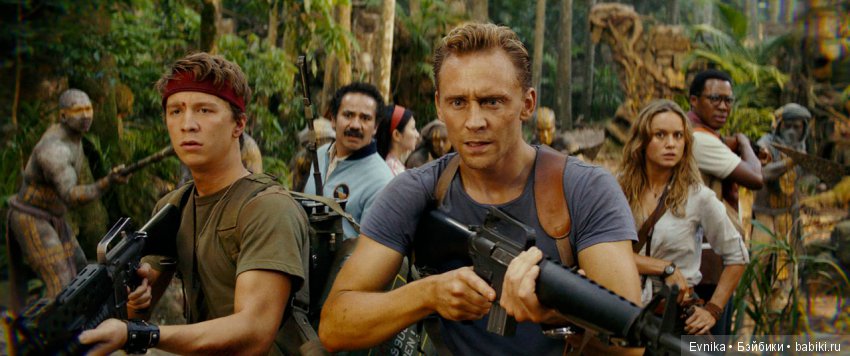 Новый житель в нашем доме