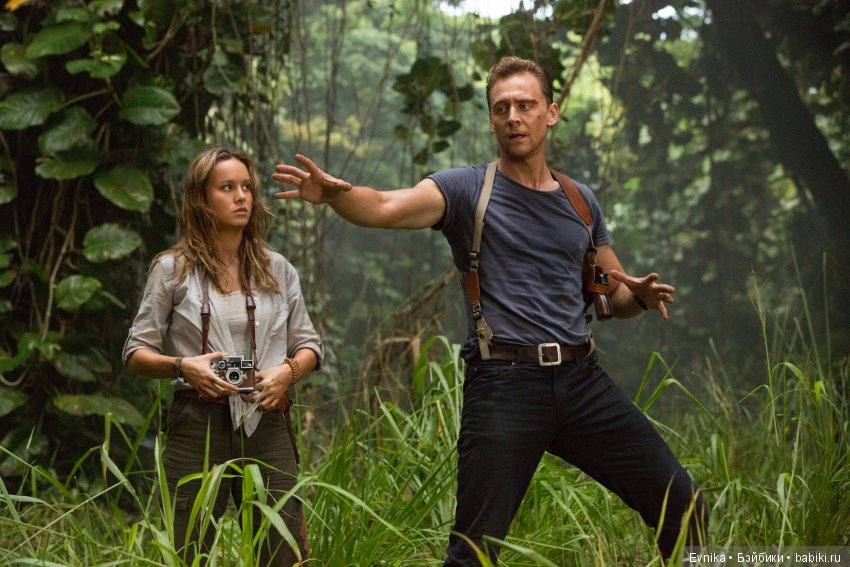 Новый житель в нашем доме