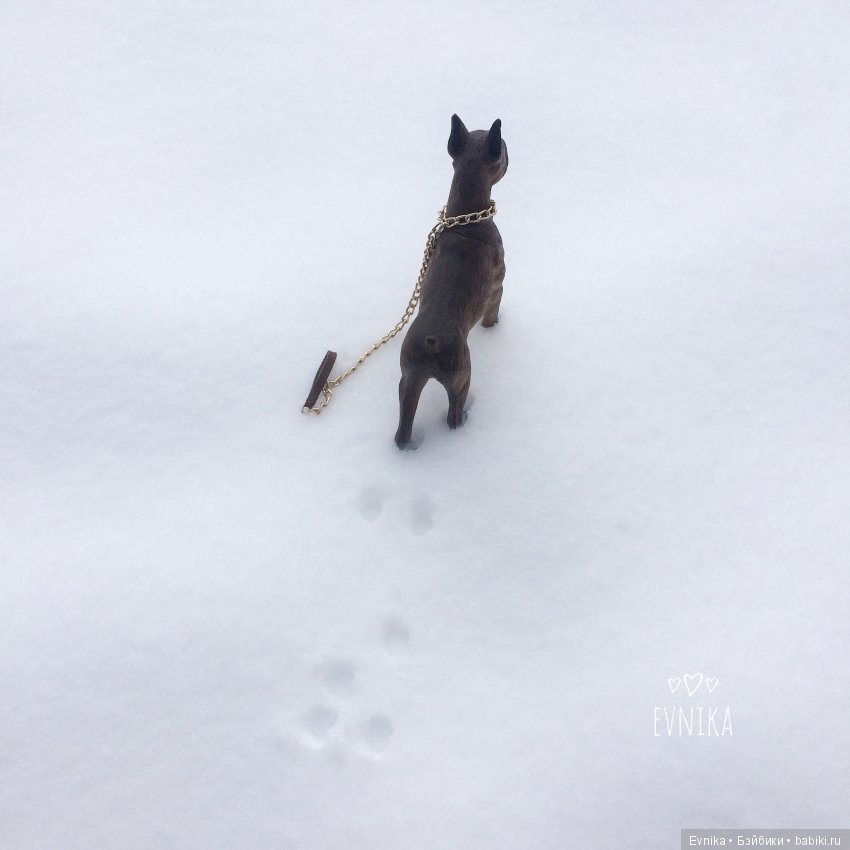 Таша - любимый подросток — Куклы и тела Obitsu (Обитсу): 1/6 (фото 5)