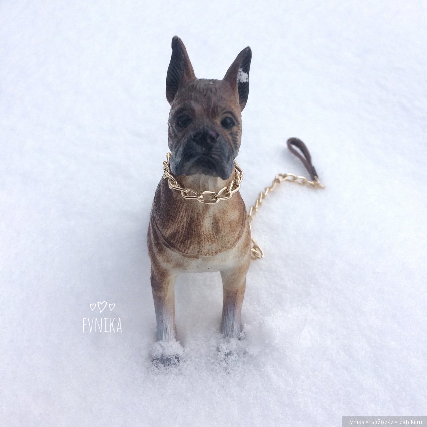 Таша - любимый подросток — Куклы и тела Obitsu (Обитсу): 1/6 (фото 4)