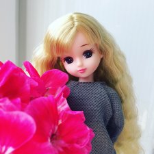 Licca Chan. Пополнение