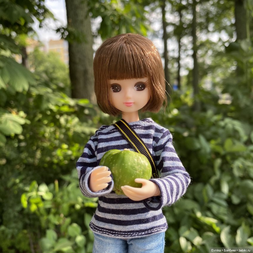 Licca Chan. Маленькое путешествие Майи