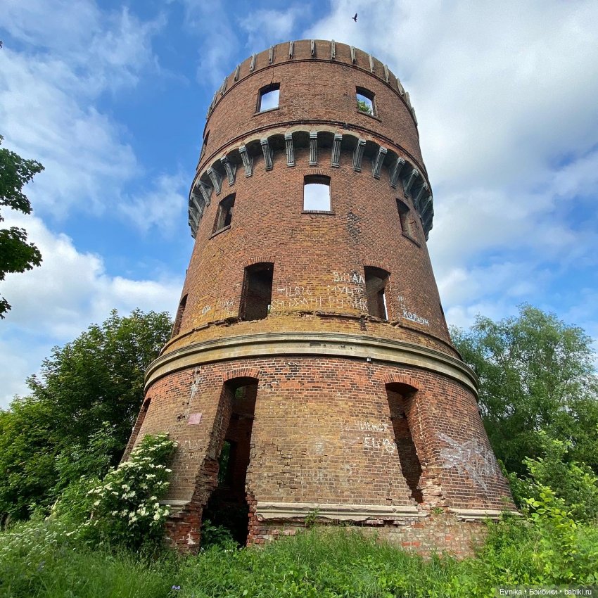 Licca Chan. Маленькое путешествие Майи (фото 2)