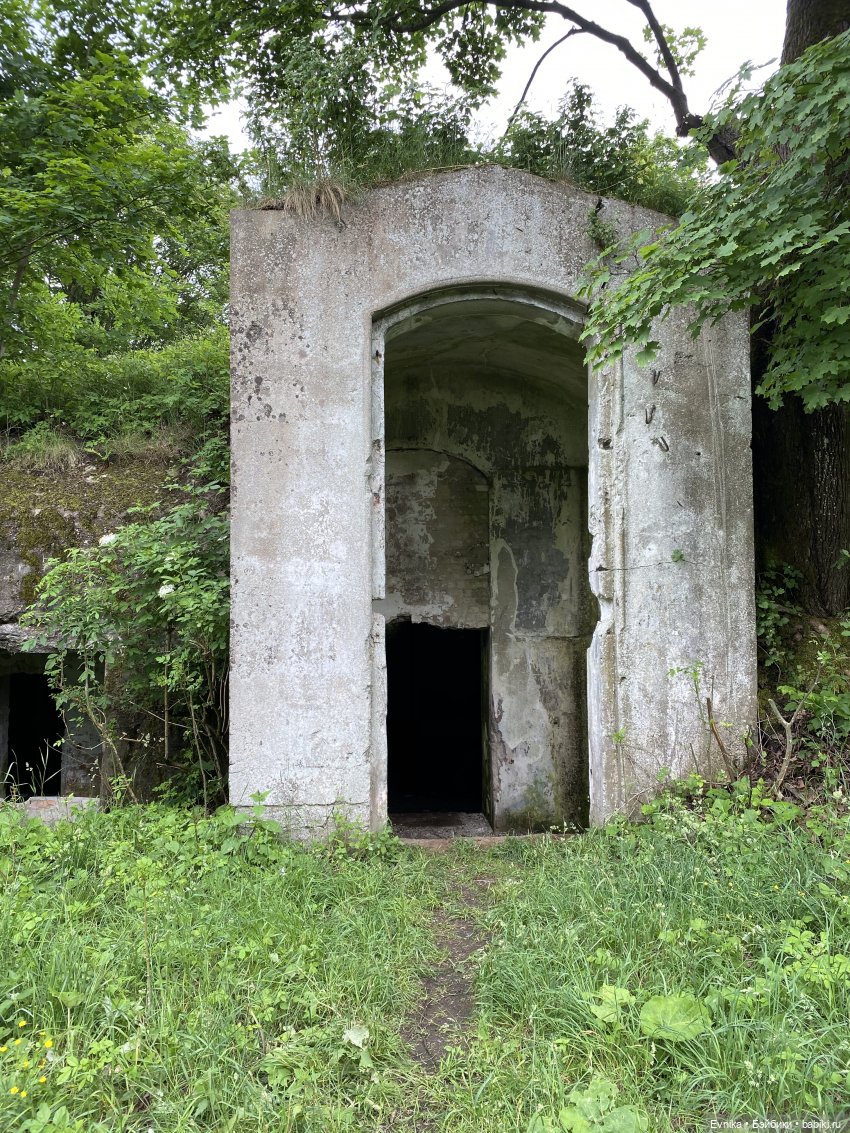 Licca Chan. Маленькое путешествие Майи (фото 5)