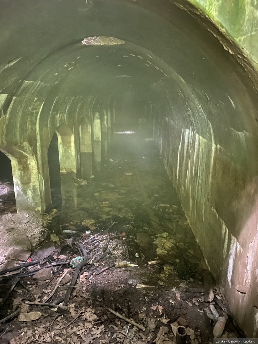 Licca Chan. Маленькое путешествие Майи (фото 7)