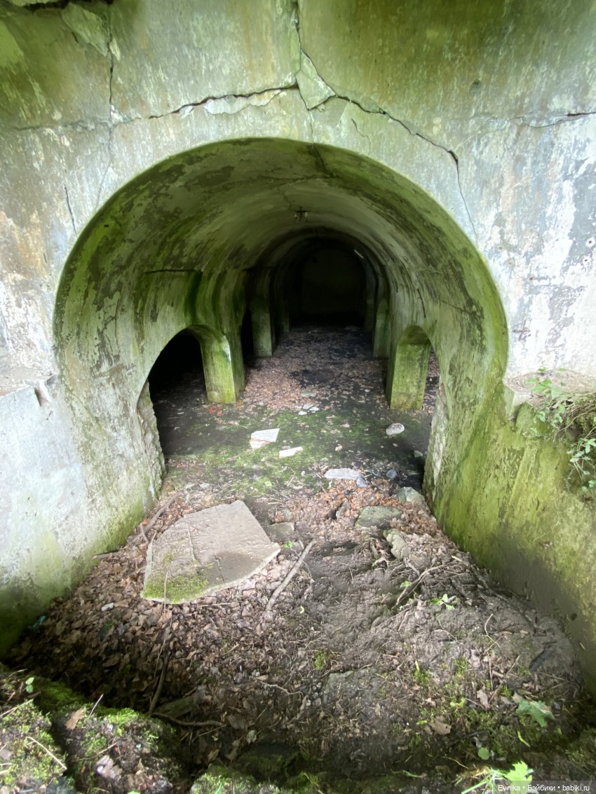 Licca Chan. Маленькое путешествие Майи (фото 9)