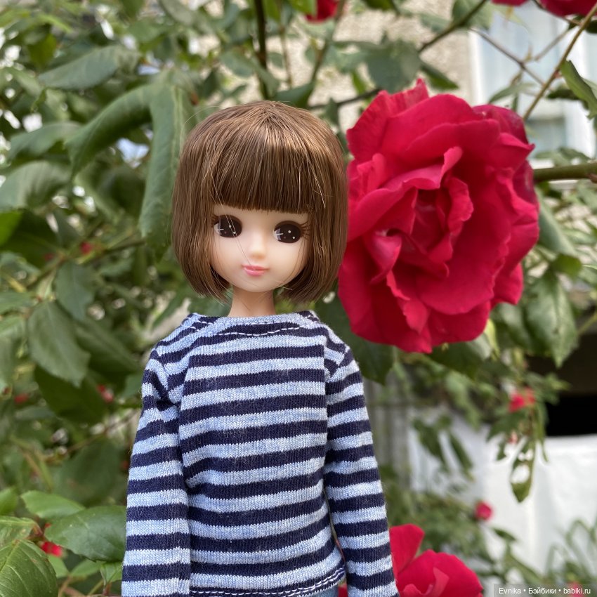 Licca Chan. Маленькое путешествие Майи