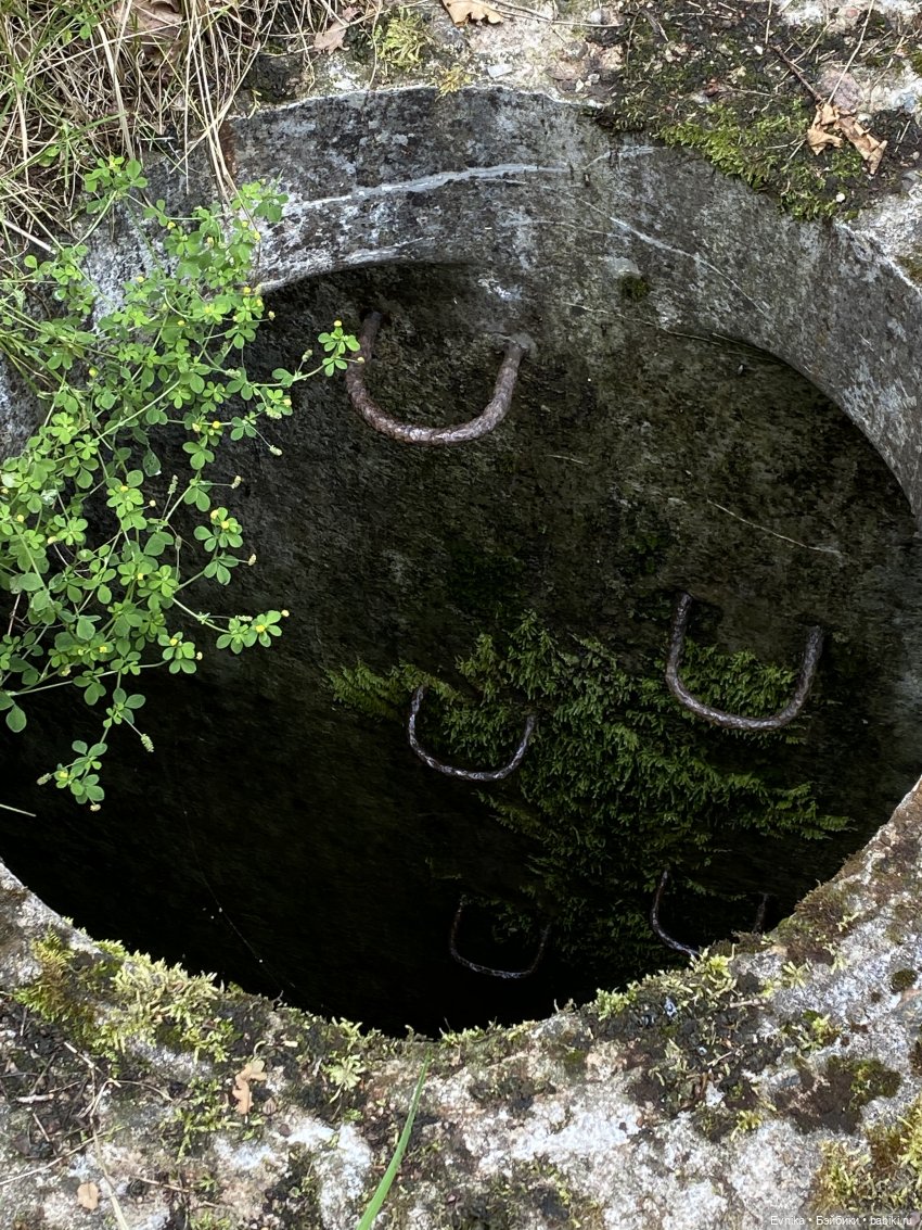 Licca Chan. Маленькое путешествие Майи