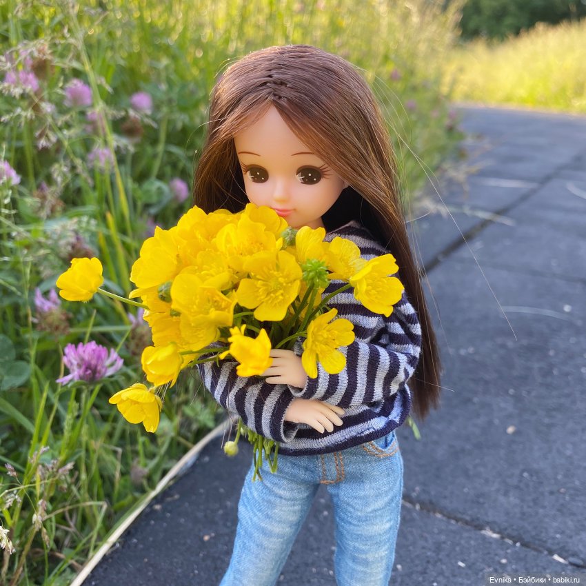 Licca Chan. Обновлённая Майя