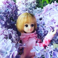 Licca Chan. Обновлённая Майя