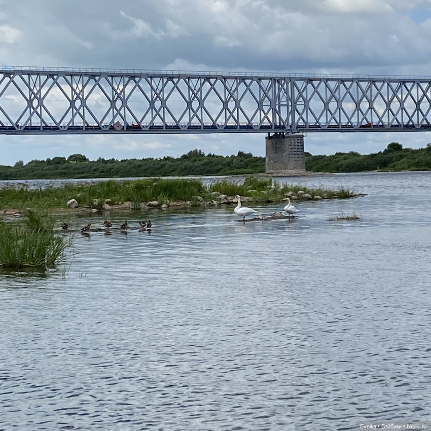 Ташино лето — Куклы и тела Obitsu (Обитсу): 1/6 (фото 9)