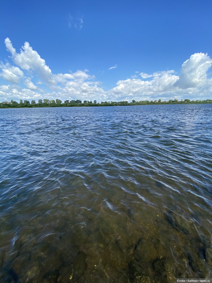 Ташино лето — Куклы и тела Obitsu (Обитсу): 1/6 (фото 8)