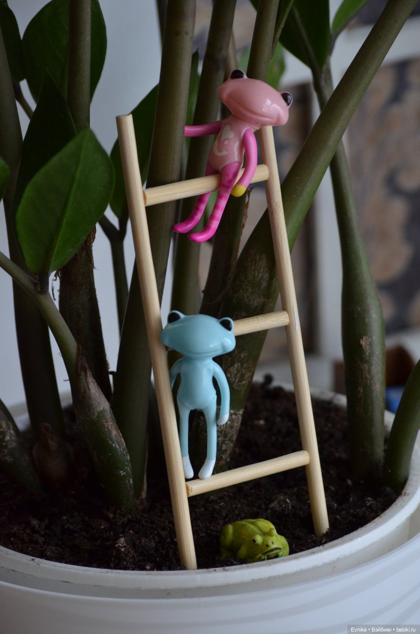 Wonder frogs - накрыло так накрыло