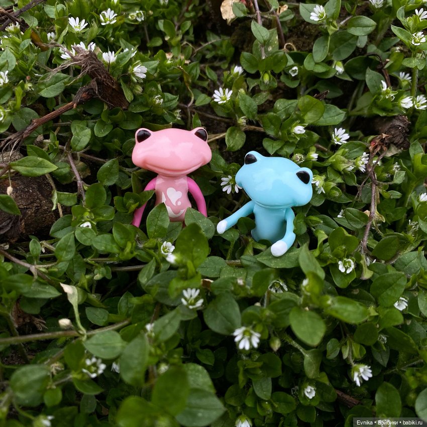 Wonder frogs - накрыло так накрыло