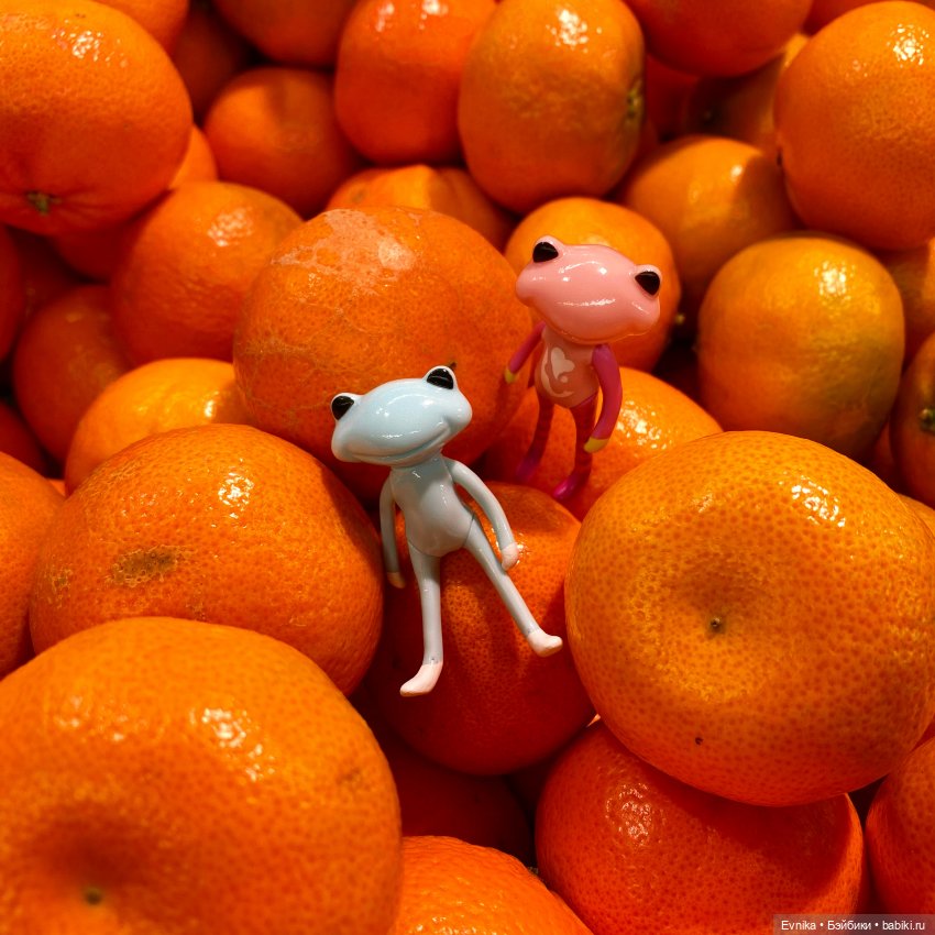 Wonder frogs - накрыло так накрыло