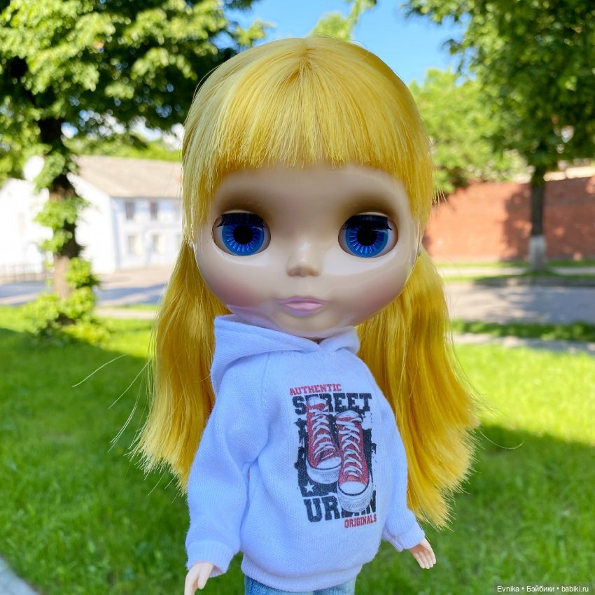 Тёплая Корица. Neo Blythe