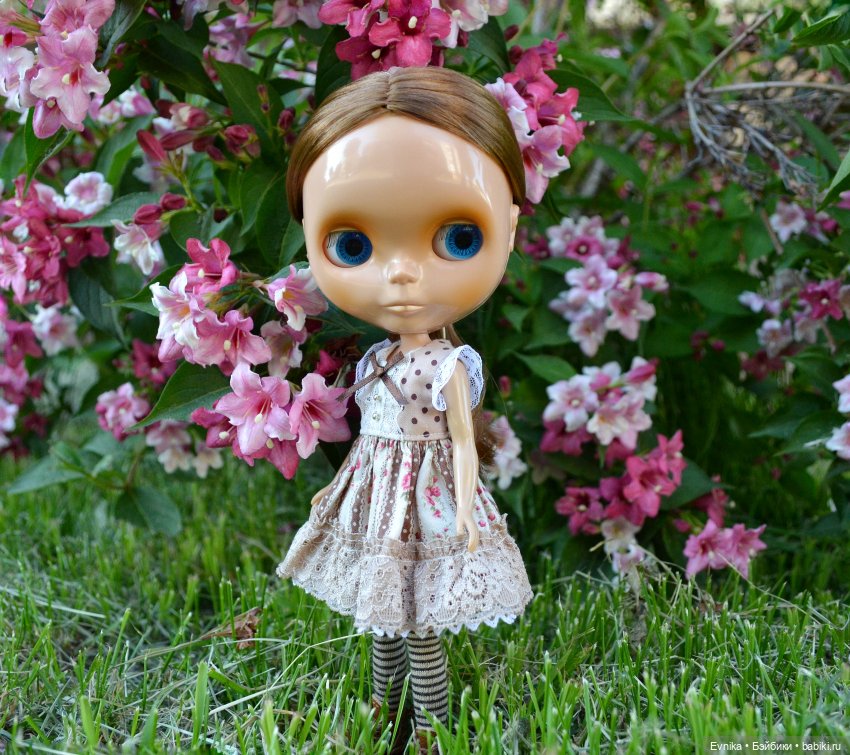 Тёплая Корица. Neo Blythe