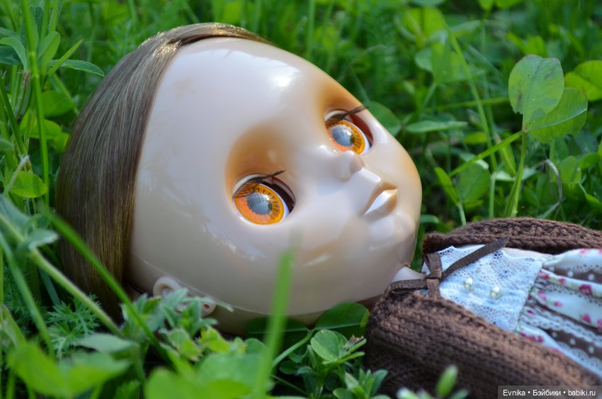Тёплая Корица. Neo Blythe