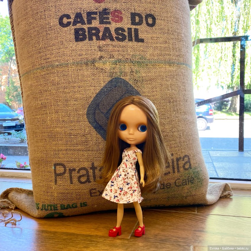 Тёплая Корица. Neo Blythe