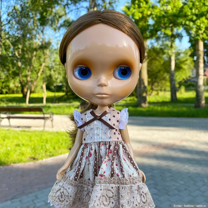 Тёплая Корица. Neo Blythe