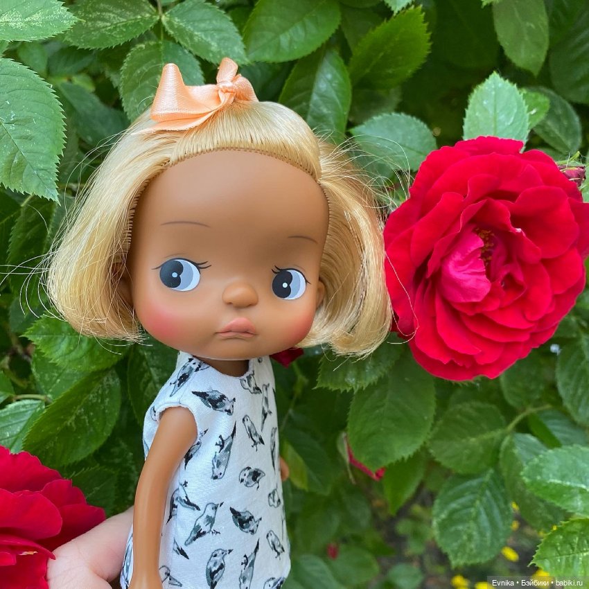 Летний фотоальбом 2021. Holala pipita & Wonder frog