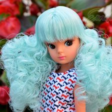 Цвет моего лета - Repro Licca