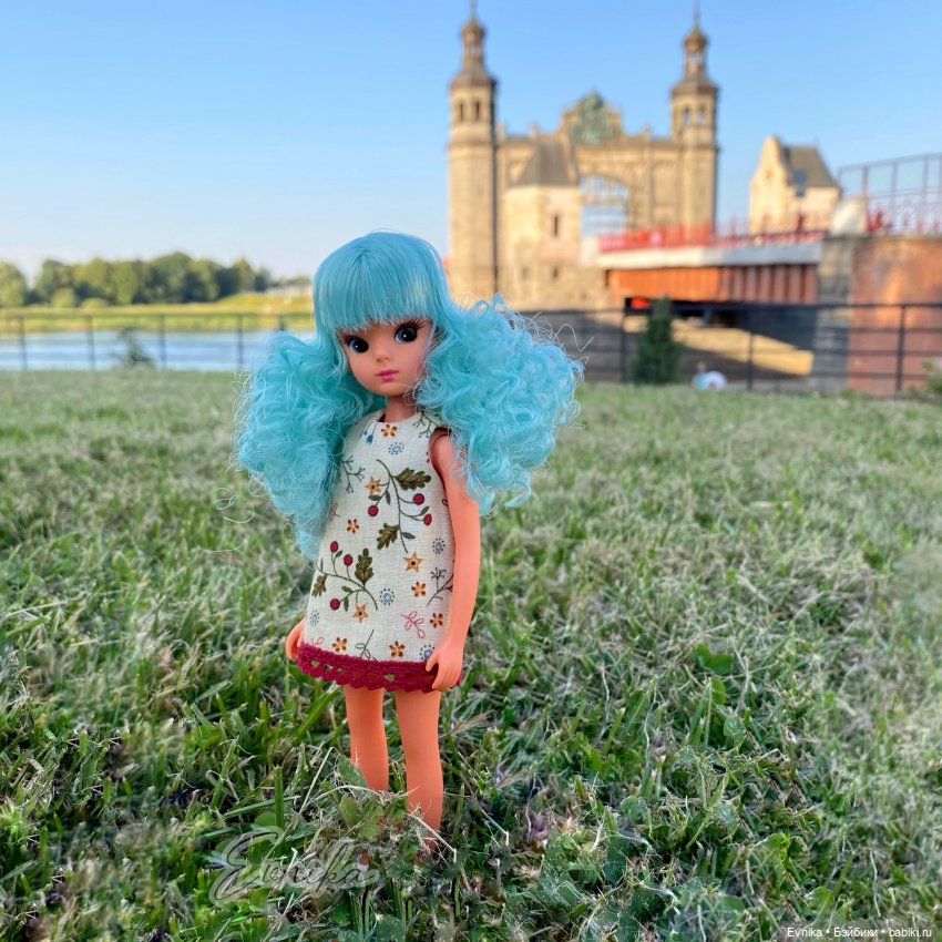 В лучах ушедшего лета. Repro Licca (фото 8)