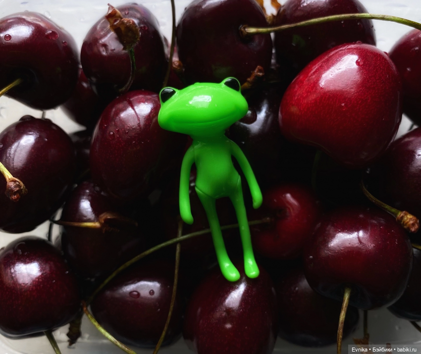 Ловись лягушка большая и маленькая