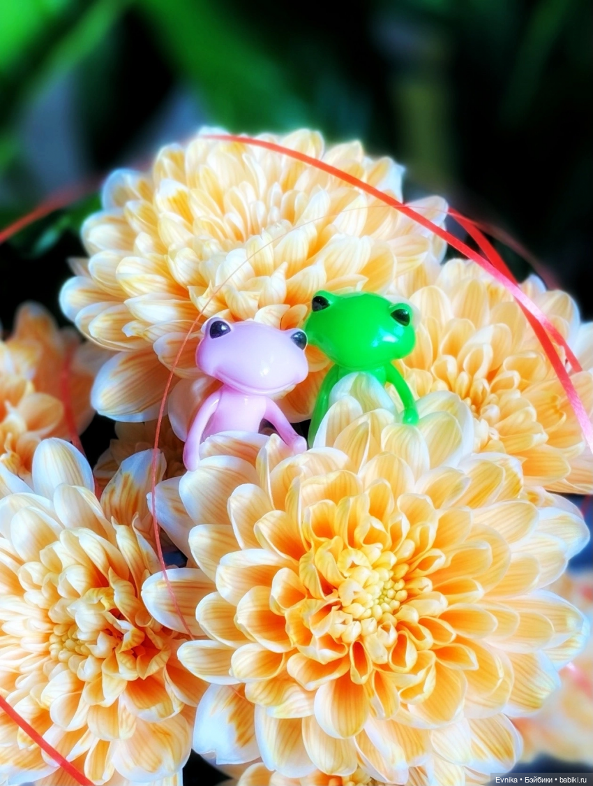 Ловись лягушка большая и маленькая