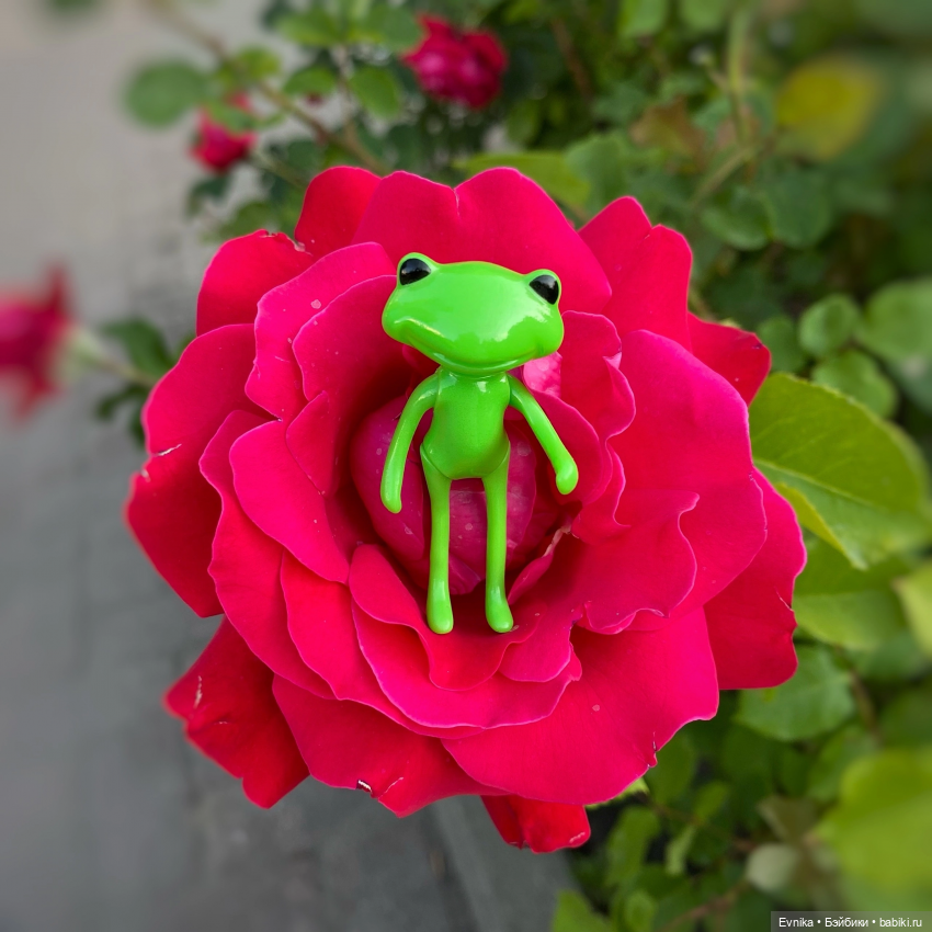 Ловись лягушка большая и маленькая (фото 2)